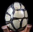 Septarian Dragon Egg Geode - Shiny Black Crystals #34713-1